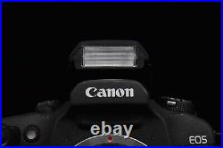 Canon EOS 7S ELAN 7N 33V 35mm SLR AF Film Camera Body From JAPAN? MINT? 1067